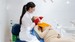 dental care during pregnancy